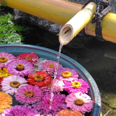 mefcRe43Nt35551's profile picture. 古オタク、成人済、今はみる専、無言フォロー失礼します🙇/🌍️ｵﾊﾞ、aotﾍﾞﾙ＆ﾗｲに大ハマり中