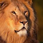 RuthJohnso9110's profile picture. 