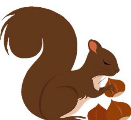 _Squrl's profile picture. squrl'n away stuff - just in case