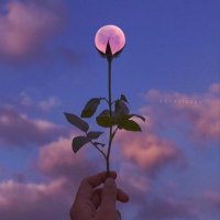 مريم (@27mrim) 's Twitter Profile