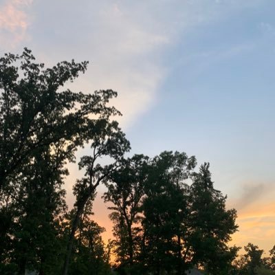 Tr9344Tripp's profile picture. I love my country and my president. Trump is the man!