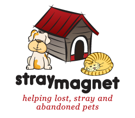 Stray Magnet