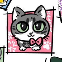 あやちょん (@superayarin) 's Twitter Profile