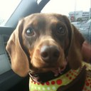 woof - @faye_howe - Twitter