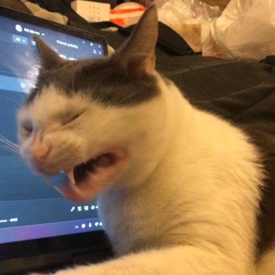 bread_224's profile picture. 