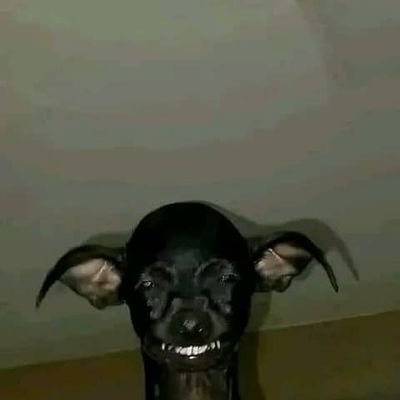 Dspamsz's profile picture. 