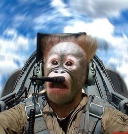 PPRuNe's profile picture. Airline captain - for the time being. 
I made the switch to http://t.co/JNLCs8CJwN - you should too.