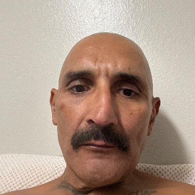 DorothyBak60433's profile picture.