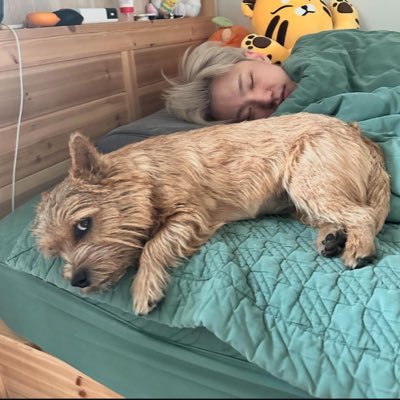 seungmisitomuak's profile picture. Amo mucho a mis favs💔