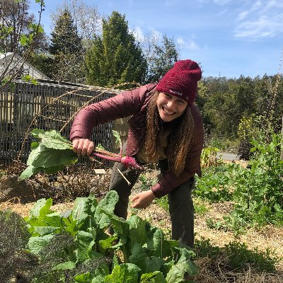 Berkeley Journalism @ucbsoj @UCBerkeleyIRP // Bylines in @CNN @SJVWater @BayNature @FresnoBee @HanfordSentinel @RichmondPulse