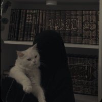 AlNjla (@i1njl) 's Twitter Profile Photo AlNjla (@i1njl) 's Twitter Profile Photo