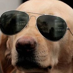 SatoshiSamurai9's profile picture. I'm here for the future, crypto is the future....