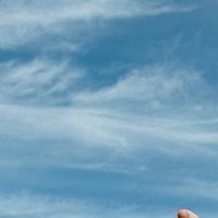 のね (@__earwig) 's Twitter Profile