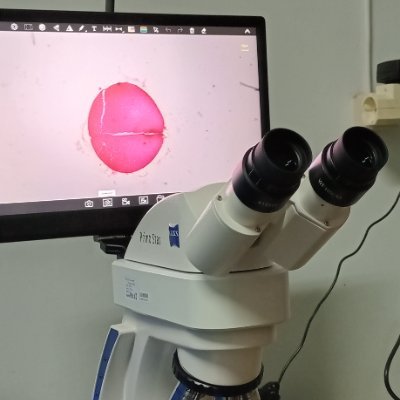 a girl, biology graduate, working as a molecular scientist and delving myself in cancer research