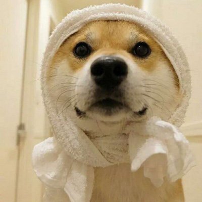 nwiloka's profile picture. In the crypto community for 5 years, love sharing market analysis 📈. Let’s connect, follow back, and discuss strategies together!