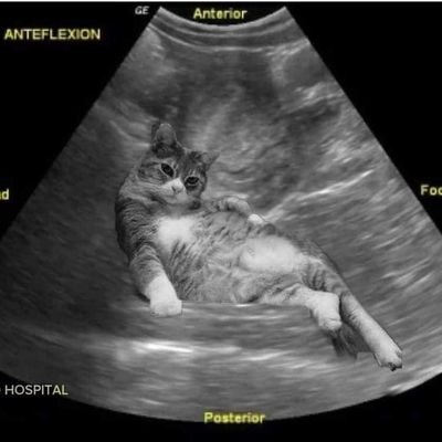 colooue's profile picture. 