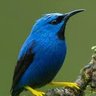 WaqrAhmd's profile picture. C++, Qt, KDE/Kate Developer, @QOwnNotes