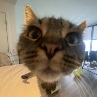 Dr. Jon (@thedrjon) 's Twitter Profile Photo Dr. Jon (@thedrjon) 's Twitter Profile Photo
