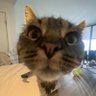 TheDrJon's profile picture. #EmergencyMedicine, #EMS Nerd. Passionate about #harmreduction. Here to talk EMS, sports, and medical misinfo. 
Sorry for the swearing. Opinions are mine alone.
