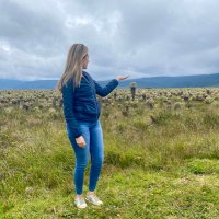 DIANNY ALBORNOZ (@diannymarcela) 's Twitter Profile Photo DIANNY ALBORNOZ (@diannymarcela) 's Twitter Profile Photo
