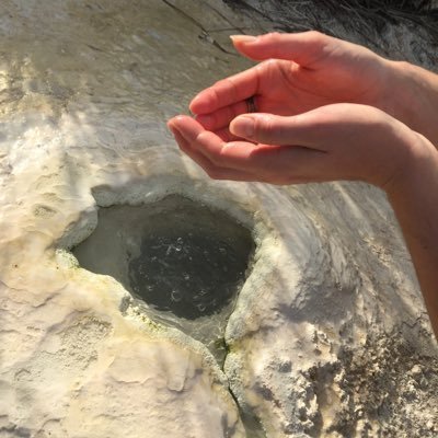 Long Term BTC Believer, Animal Based Nutrition Lover, Avid Thermal Cycler (hot / sauna + cold plunge), Focused on Hot Springs Restoration