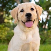 Jeremy (@jeremy231710442) 's Twitter Profile