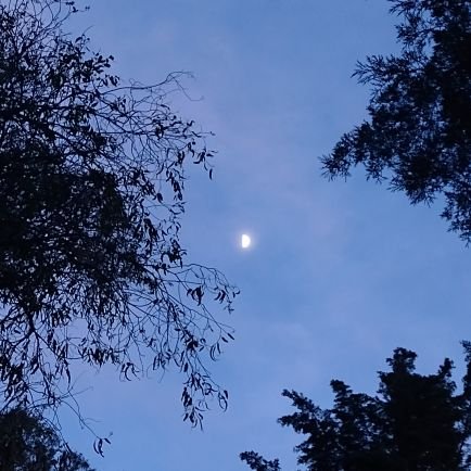 valginnet26's profile picture. 