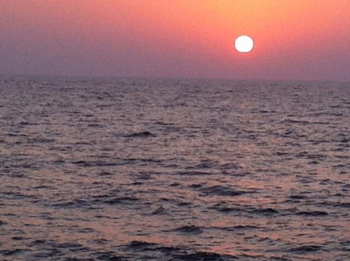 jamalshaab's profile picture. 