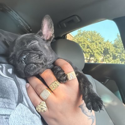 214aaliyah_'s profile picture. 