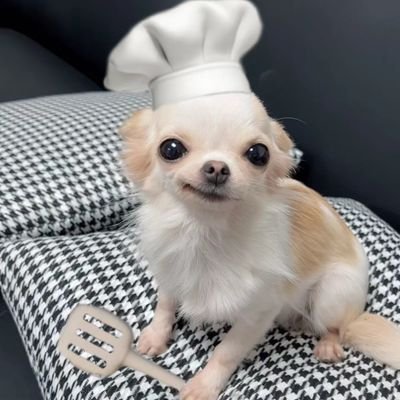 涩崽小炒さんのプロフィール画像