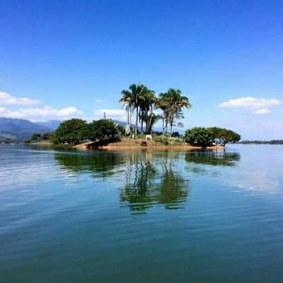 David8313616833's profile picture. 