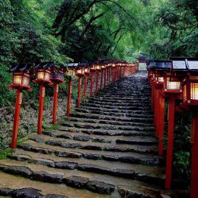 SkylercxRoy's profile picture. Don’t compare yourself with anyone in this world…if you do so, you are insulting yourself.