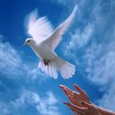 اجمل صدفه (@054558227) Twitter