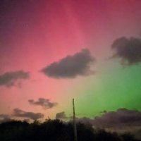 Slave2Cats 🐾 (@catslaveuk) 's Twitter Profile Photo