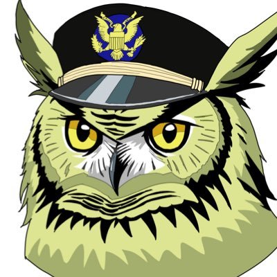 Hisui_Junyiiee's profile picture. 世界史、政治、米事情、アニメ界隈に潜むミミズク ワシントン大学生徒