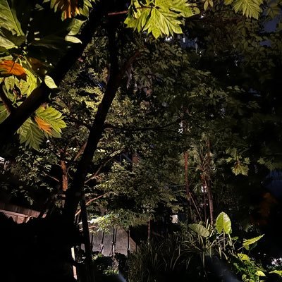 Marshmalloww1's profile picture. 