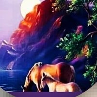 جوهره (@zx1122e) Twitter profile photo