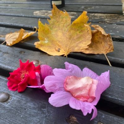 cherrybob2022's profile picture. I have my own passion on writing and reading , maybe someday I will find my own way to see the mystery ahead of me