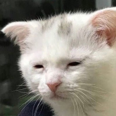 naterfute's profile picture. 