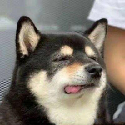 firstfrost1912's profile picture. 