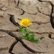 お金の豆知識や有益情報など共有中。自分がお金に苦労したので生活に苦しんでいる方を救いたいと思い、少額ですがお金配り企画をしています! 詳細はこちらから➡ https://t.co/cyuPI1umCZ
