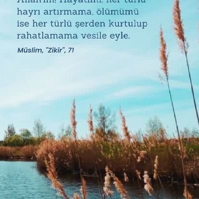 emekli