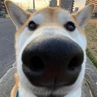 huang025636guo's profile picture. MATH, ENGLISH, PHILOSOPHY, CHEMISTRY, STATISTICS, ACCOUNTING, BIOLOGY, MARKETING, HOMEWORK, REPORTS, ESSAYS & more. 
Text WeChat ID : ukuk8766