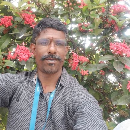 MMadaiah91310's profile picture. 