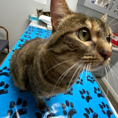 AnonymousB53613's profile picture. 