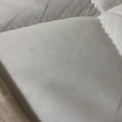 ZLkISsHttf92558's profile picture. 