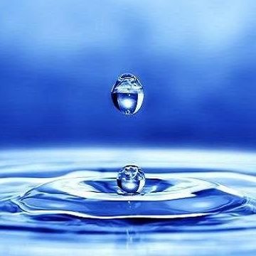 Rodayne82's profile picture. 