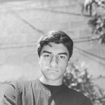 IbrahimShayk's profile picture. CS Student | Aspiring Tech Enterpreneur | Decoding the Future....rest is loading!