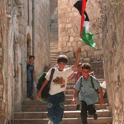 SaidkalilD84093's profile picture. humain