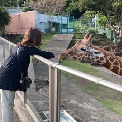moniさんのプロフィール画像